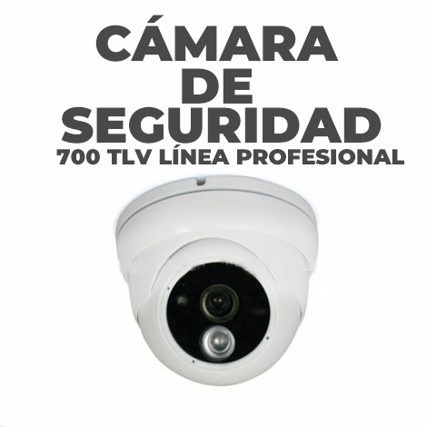 Cámara De Seguridad 700 TLV Línea Profesional